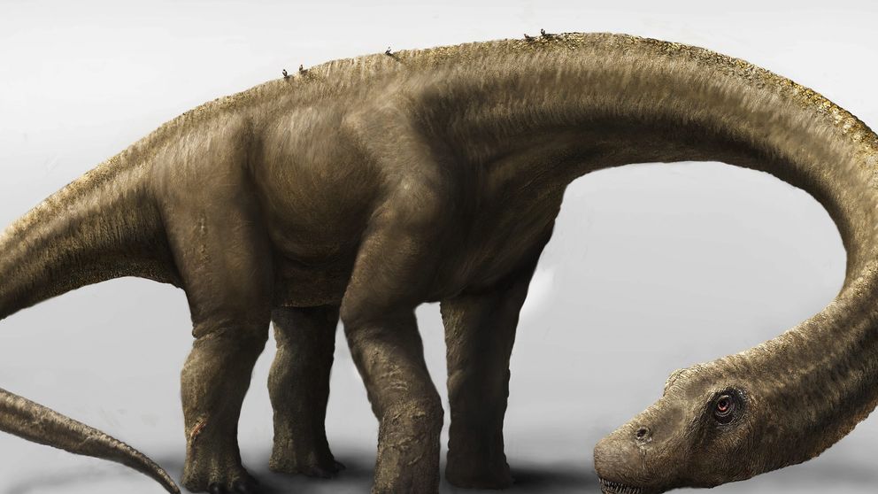 Un dinosaurio que pesaba tanto como una manada de elefantes