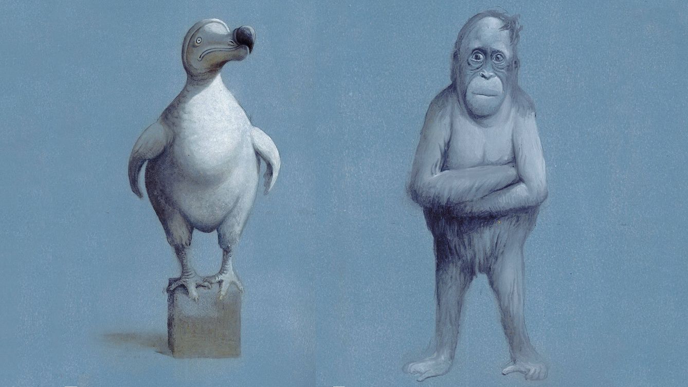 Foto: 'Pulpo, Orangután y Dodo' (2012), de Javier Sáez Castán. 