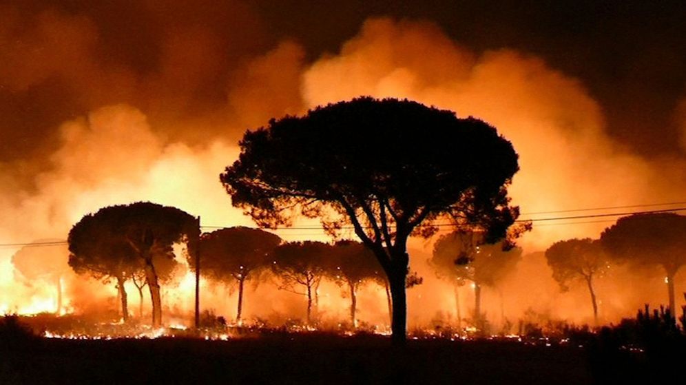 Foto: Las llamas del incendio de Moguer (huelva) entran en el Espacio Natural de Doñana. (EFE)